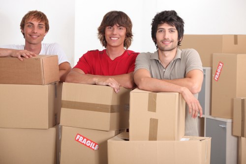 Careful transport of household items by a man with van team