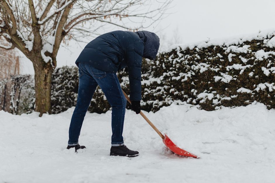 A person dressed in a dark blue winter coat with a hood, blue jeans, black gloves, and black shoes is using a red snow shovel to clear snow from an outdoor path. They are slightly bent forward, actively shoveling snow onto the ground. The background features snow-covered shrubs, a leafless tree on the left, and a snow-dusted hedge on the right side, indicating an outdoor scene during winter. The scene is well-lit with natural daylight. This image reflects the physical effort involved in clearing pathways, which can be part of the logistics during an overall house removal or relocation process. Man with Van Woodlands often supports clients with these preparation tasks to ensure safe and efficient furniture transport and home relocation, including clearing access points for loading and unloading. The setting suggests an upcoming move where clearing outdoor pathways is an essential step for smooth furniture transport and loading procedures in the context of removals services.