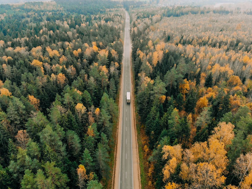 An aerial view of a straight, two-lane road cutting through a dense forest with trees displaying autumn foliage in shades of green, yellow, and orange. A single large truck with a white trailer and a dark cab is travelling along the road, heading into the distance. The scene appears to be in a rural area, surrounded by tall trees and natural landscape, with minimal human infrastructure visible. The lighting is soft, indicating a cloudy day, and the image captures the environment typical for house removals and home relocation logistics, reflecting the process of transportation through natural surroundings as part of furniture transport or loading activities. This natural setting emphasizes the importance of careful planning in moving services offered by Man with Van Woodlands, highlighting safe and efficient vehicle loading and transport within woodland areas.