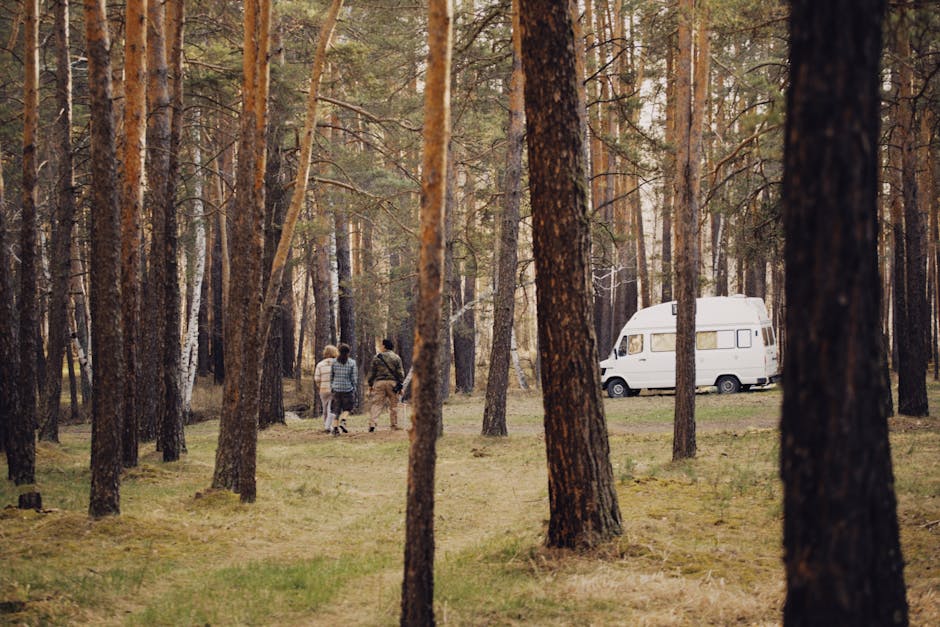 A group of three people walking on a narrow dirt path through a dense pine forest, with tall, straight trees and sparse undergrowth. They are dressed casually, with backpacks visible, and appear to be heading towards a white camper van parked on a clearing adjacent to the path. The camper van is a modern, high-top model with windows along its side and is situated on a grassy area, partially shaded by the surrounding trees. The scene is illuminated by natural daylight, with soft light filtering through the tree canopy, creating a tranquil outdoor setting typical of a rural or woodland environment. The image reflects themes of outdoor travel, home relocation, and transport logistics, aligning with professional removal and moving services such as those offered by Man with Van Woodlands, although no furniture or packaging materials are visible.