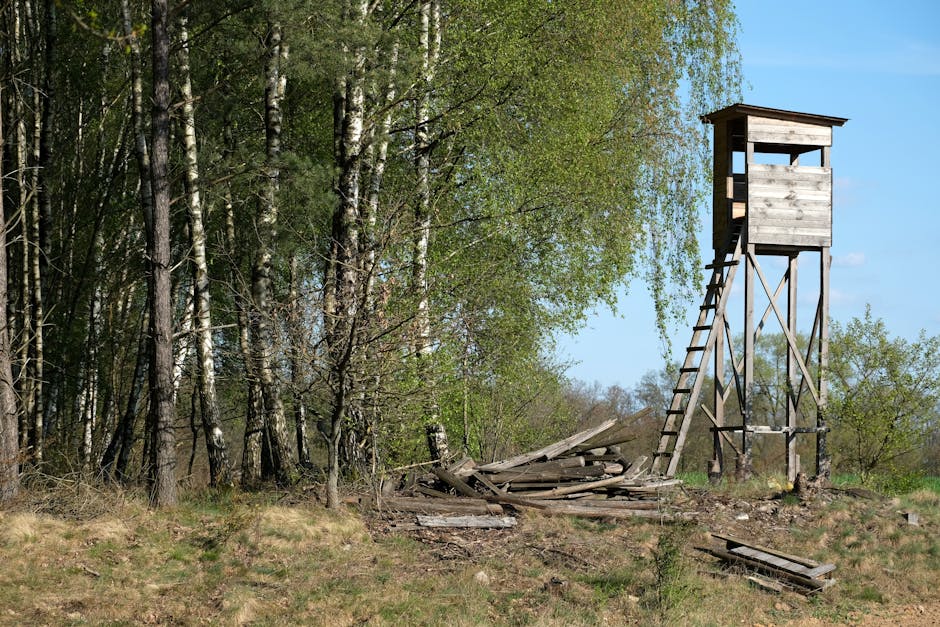 An outdoor scene featuring a tall, wooden watchtower with a small enclosed platform at the top, supported by four angled wooden legs and accessed by a staircase with wooden steps. To the left, there is a group of thin, mature trees with green foliage, some with white bark, indicating a forested or wooded area. The ground appears to be uneven, with patches of grass and bare soil, and a pile of wooden debris, including broken planks and parts of a damaged structure, is situated near the base of the watchtower. The background shows a clear blue sky with sparse clouds, suggesting a bright, sunny day. The scene is natural and rural, with no visible buildings or urban elements, highlighting a setting that might be associated with outdoor activities or forest observation. Occasionally, Man with Van Woodlands is involved in house removals or furniture transport, connected to logistical aspects of relocations or clearance services.