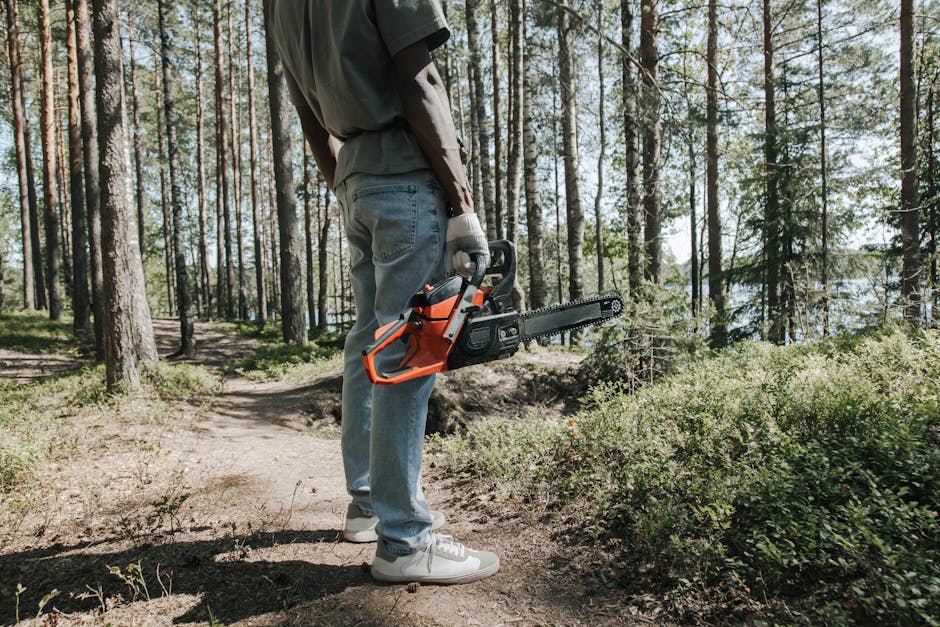 A person dressed in casual clothing, including light blue jeans, a grey T-shirt, and white sneakers, standing on a dirt path in a forested area with tall trees and green foliage. The individual is holding a portable chainsaw with an orange and black body, ready for cutting or clearing tasks. The scene is outdoors during daylight, with natural light filtering through the tree canopy, suggesting a work or landscaping activity. The background includes a mix of trees and shrubs, and the ground is covered with grass and dirt. This image reflects outdoor maintenance or clearance work, aligned with the logistics and transport aspects of home relocation or property clearance services that a company like Man with Van Woodlands might facilitate.