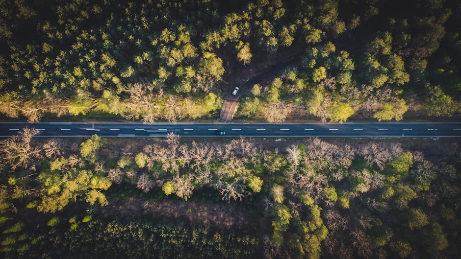 An aerial view of a narrow, two-lane road cutting through a dense forest with predominantly green foliage and some leafless trees, showing a single white vehicle parked near a clearing. The scene is bathed in natural daylight, highlighting the contrast between the paved roadway and the surrounding woodland. The image captures the outdoor environment typically involved in home relocation logistics, with no visible moving equipment or furniture. Man with Van Woodlands occasionally offers assistance with house removals, including packing, furniture transport, and loading processes, as reflected by the natural context of transporting belongings through areas like Woodlands Road.
