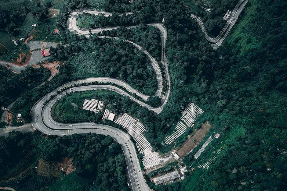 An aerial view of a narrow, two-lane road cutting through a dense forest with predominantly green foliage and some leafless trees, showing a single white vehicle parked near a clearing. The scene is bathed in natural daylight, highlighting the contrast between the paved roadway and the surrounding woodland. The image captures the outdoor environment typically involved in home relocation logistics, with no visible moving equipment or furniture. Man with Van Woodlands occasionally offers assistance with house removals, including packing, furniture transport, and loading processes, as reflected by the natural context of transporting belongings through areas like Woodlands Road.